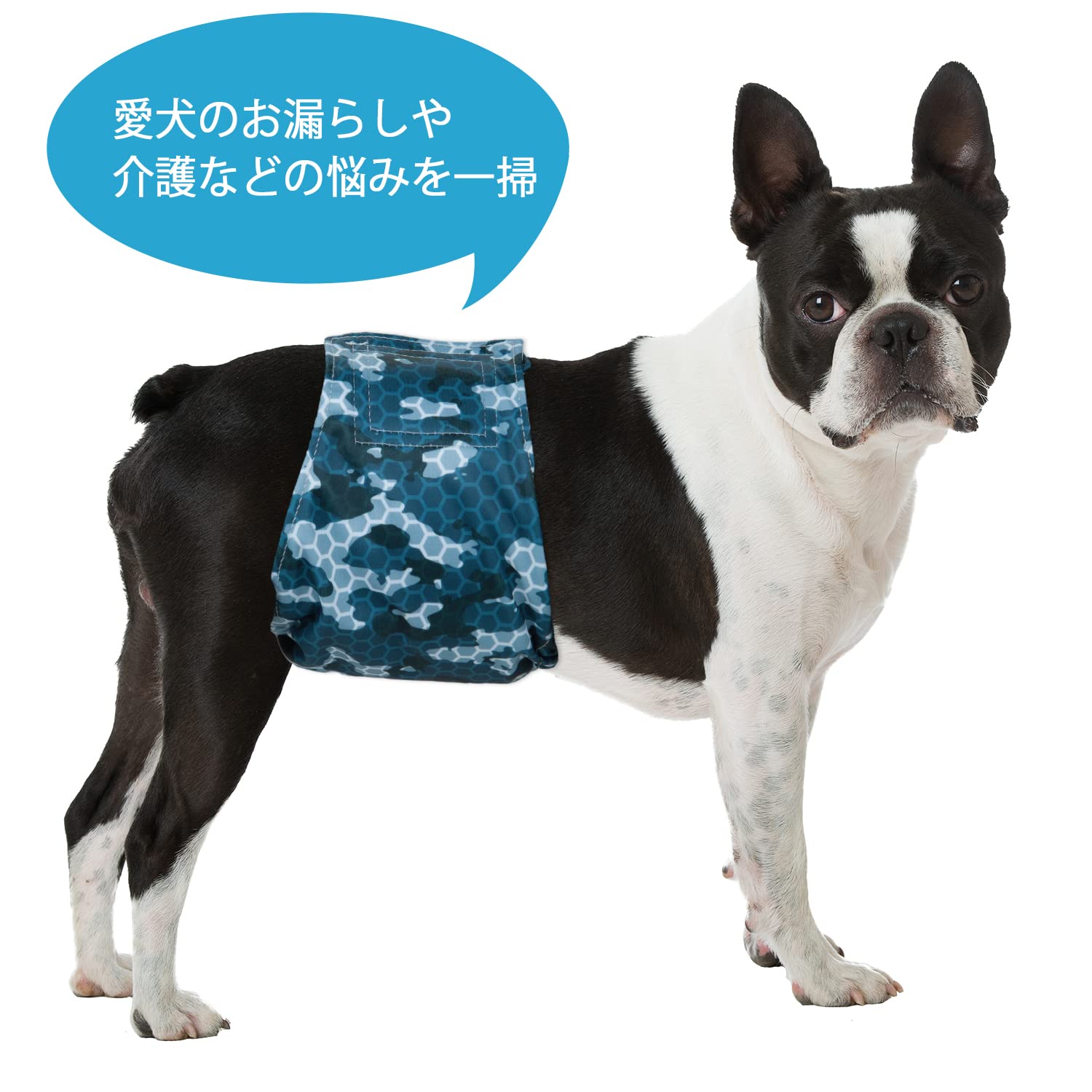 Amazon.co.jp: 犬マナーベルト 犬用おむつ 男の子用 紙おむつ 犬猫兼用